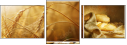 24679750