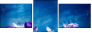 249730