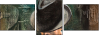 25062191