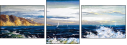 25936119