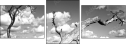 26523822