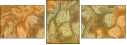 265907570