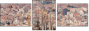 27269017