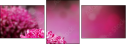 28158442