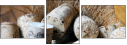 28670326