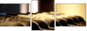 28820813
