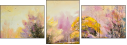 29135500
