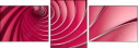 29783270