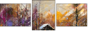 30278579