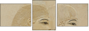 30400596