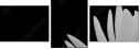 31116777