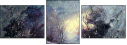 31219090
