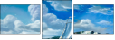 31224099
