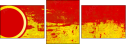 32019447