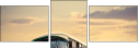 32060553
