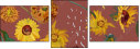 324724116