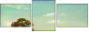 32752638