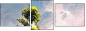 32752739