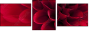 33891278