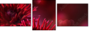 34304958