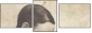 35225919