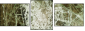 35814407
