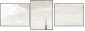 3629029