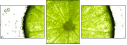 36604434