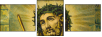 36638994