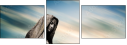 38998261