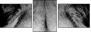 39012933