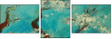 39414869