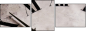 3950638