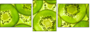 39788050