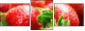 40306141