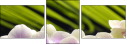 42014292
