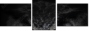 43647000
