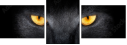 44285895