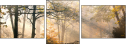 44630410