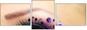 44695415