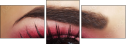 45479444