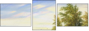 45639773