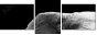 46583459