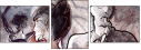 46957513