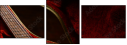48965476