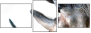 49240267