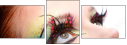 50908803