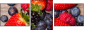 51088684
