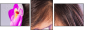 52845719