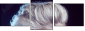 53129402